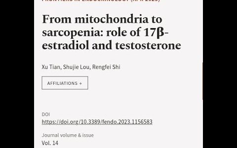 From mitochondria to sarcopenia: role of 17β-estradiol and testosterone | RTCL.TV