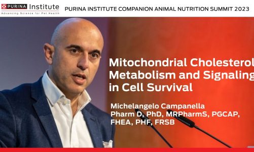 Mitochondrial Cholesterol Metabolism and Signaling in Cell Survival