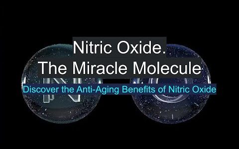 Anti-Aging Benefits of Nitric Oxide #aging #health #longevity #diet #nitricoxide #endothelium