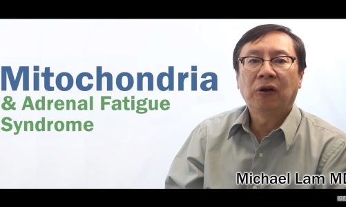Mitochondria and Adrenal Fatigue Syndrome
