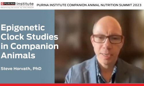 Epigenetic Clock Studies in Companion Animals