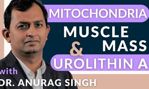 Mitochondria, Muscle Mass, and Urolithin A with Dr. Anurag Singh