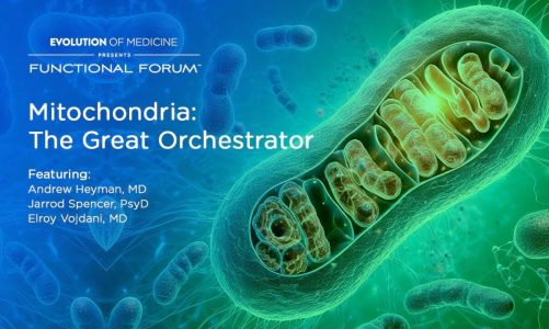 December 2023 Functional Forum: Mitochondria: The Great Orchestrator