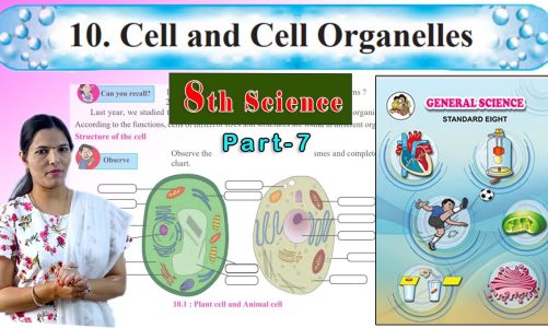 8th Science | Chapter 10 | Cell and Cell Organelles | Part 7