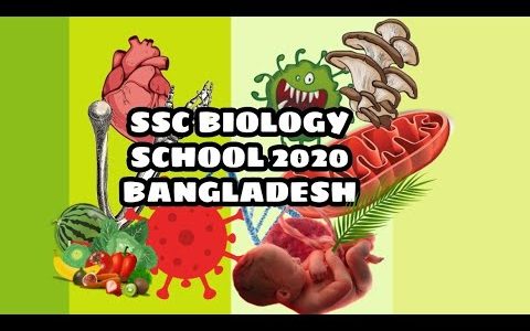 BIOLOGY (SSC) || CHAPTER 2 (CELLS AND TISSUES OF ORGANISMS)