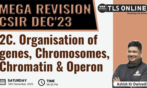 | MEGA REVISION | U -2C | Organisation of Genes, Chromosomes | Dr. Ashish Kr. Dwivedi |