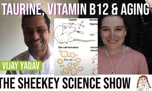 Can taurine and vitamin B12 improve your health? – Vijay Yadav