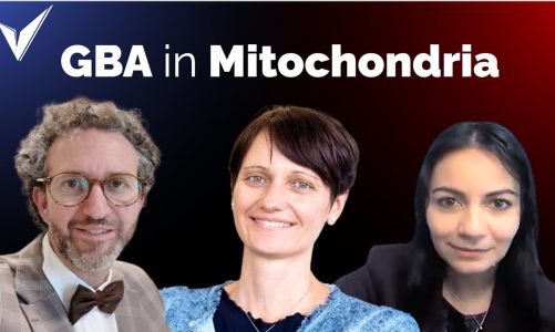 Mitochondria in GCase-Linked Neurodegeneration – Drs. Behrouz, Deleidi, and Klein