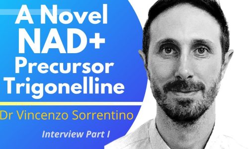 A Novel NAD+ Precursor Trigonelline More Stable Than NR & NMN | Dr Vincenzo Sorrentino Ep 1