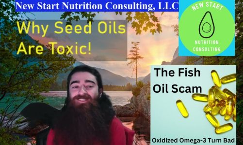 Why Seed Oils Are Toxic and Bad for Health (2024)